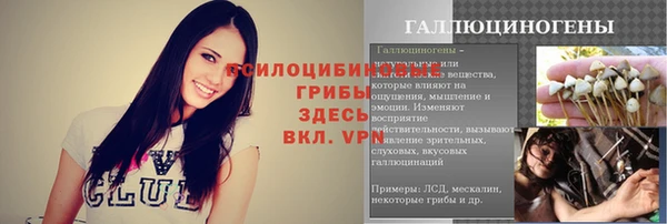 мдпв Гусев