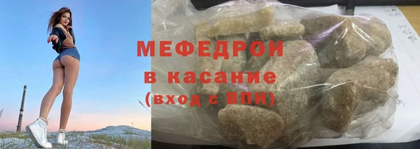 мдпв Гусев