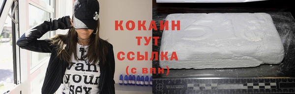 мдпв Гусев