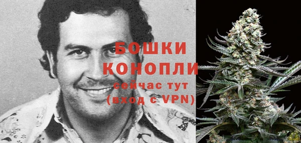 мдпв Гусев