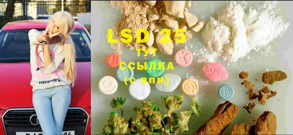 мдпв Гусев