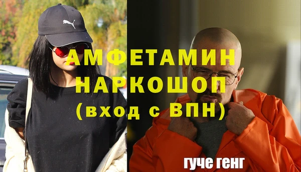 мдпв Гусев