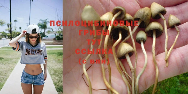 мдпв Гусев