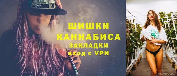 мдпв Гусев