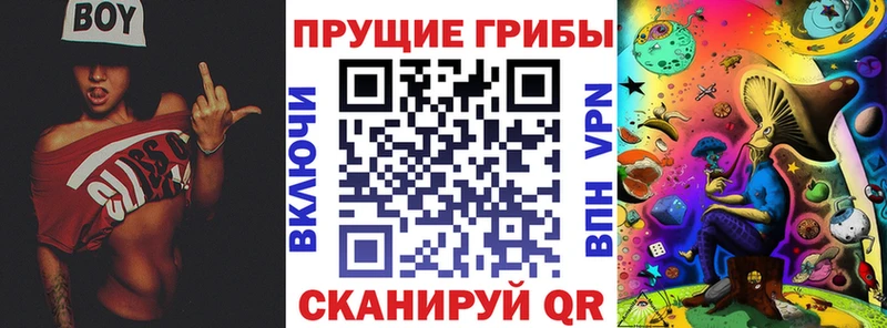 Купить  Кизляр  Псилоцибиновые грибы ЛСД 