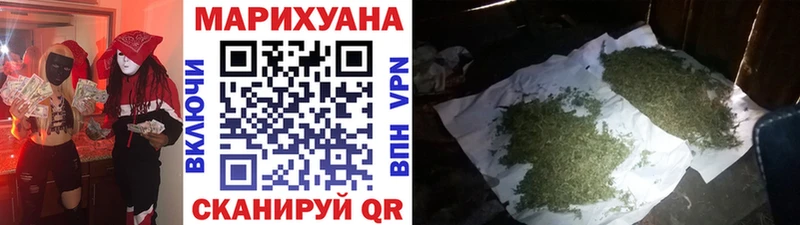 Купить где  Кизляр  Шишки марихуана сатива 